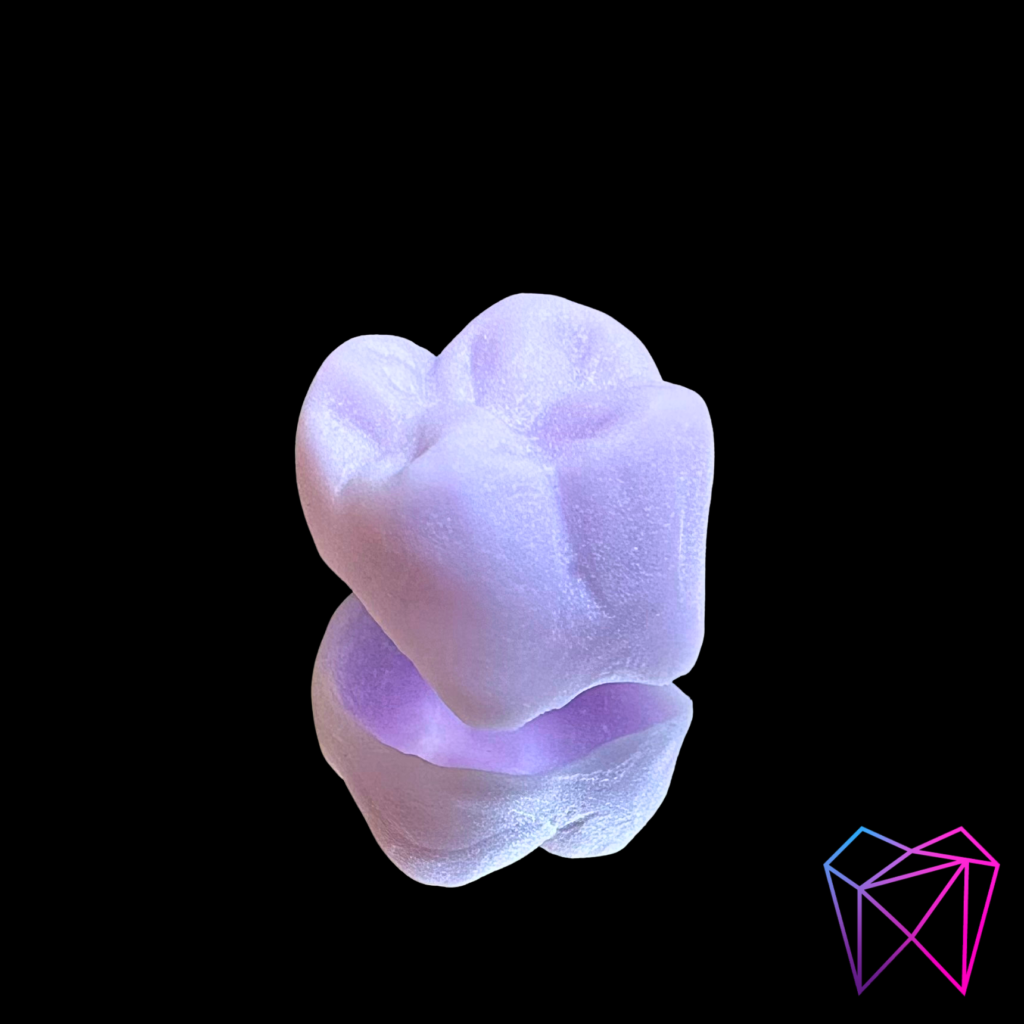 Couronne anatomique IPS e.max CAD